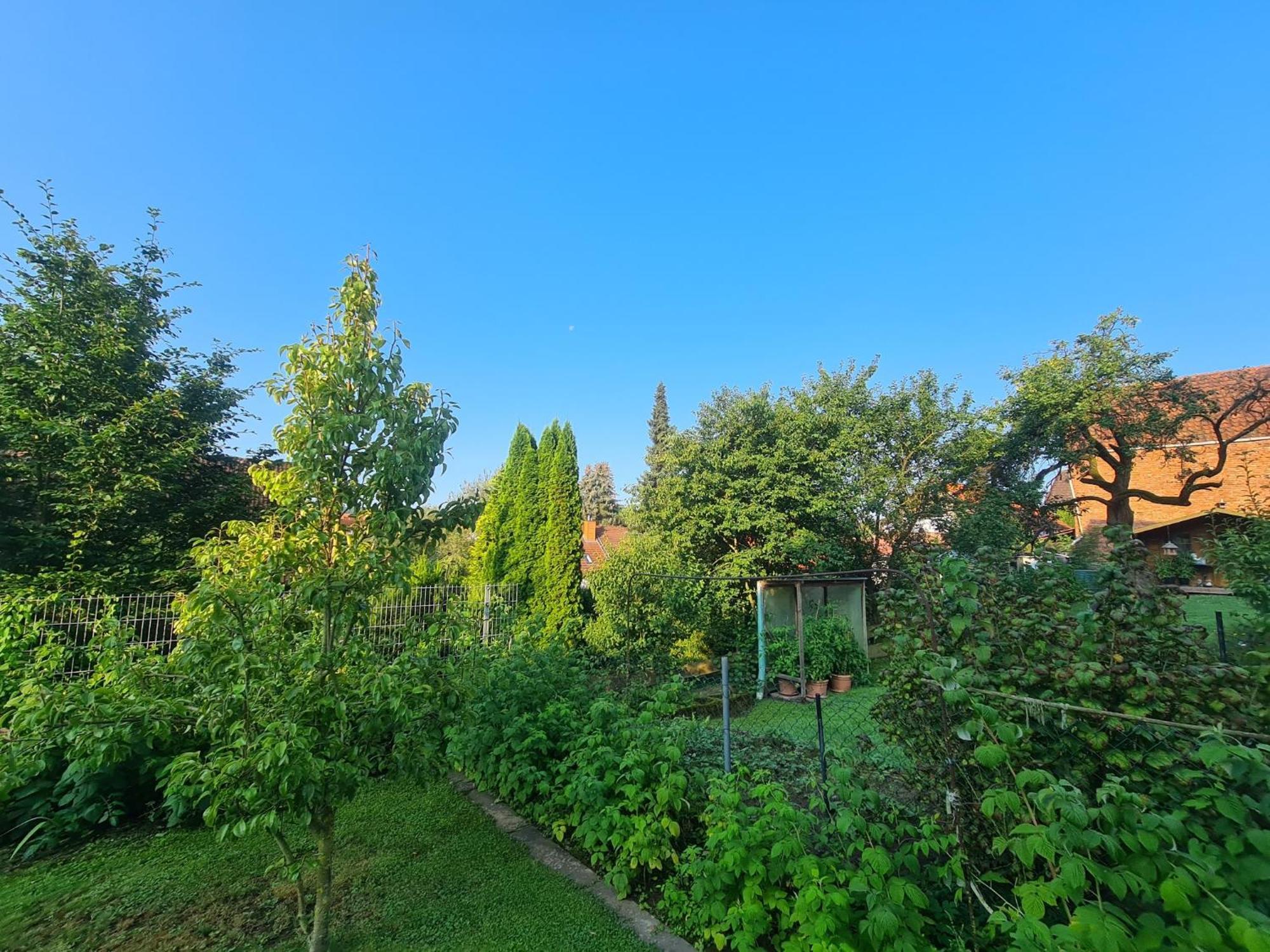 Suedharzperle Appartement Bad Lauterberg Buitenkant foto