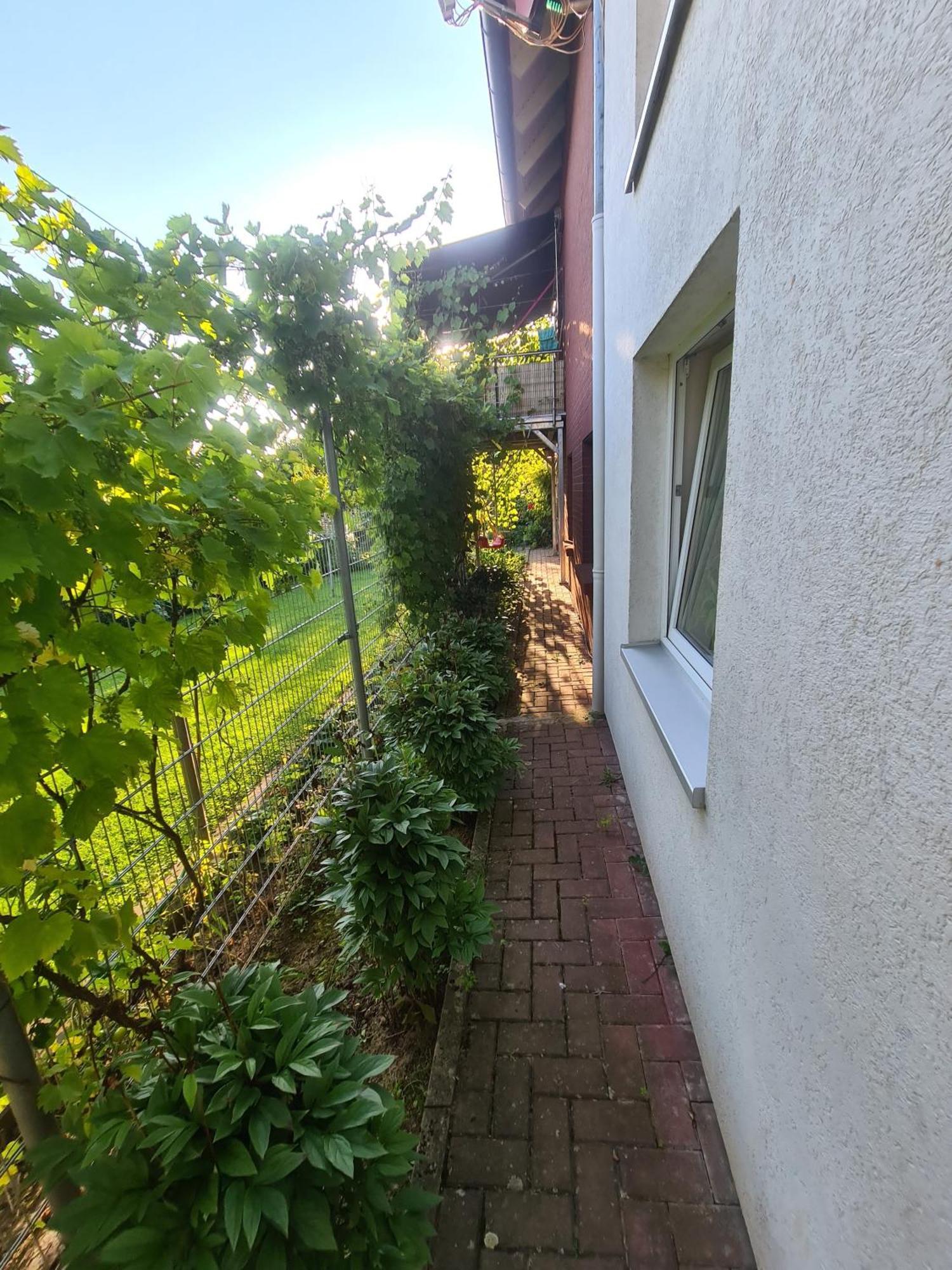 Suedharzperle Appartement Bad Lauterberg Buitenkant foto